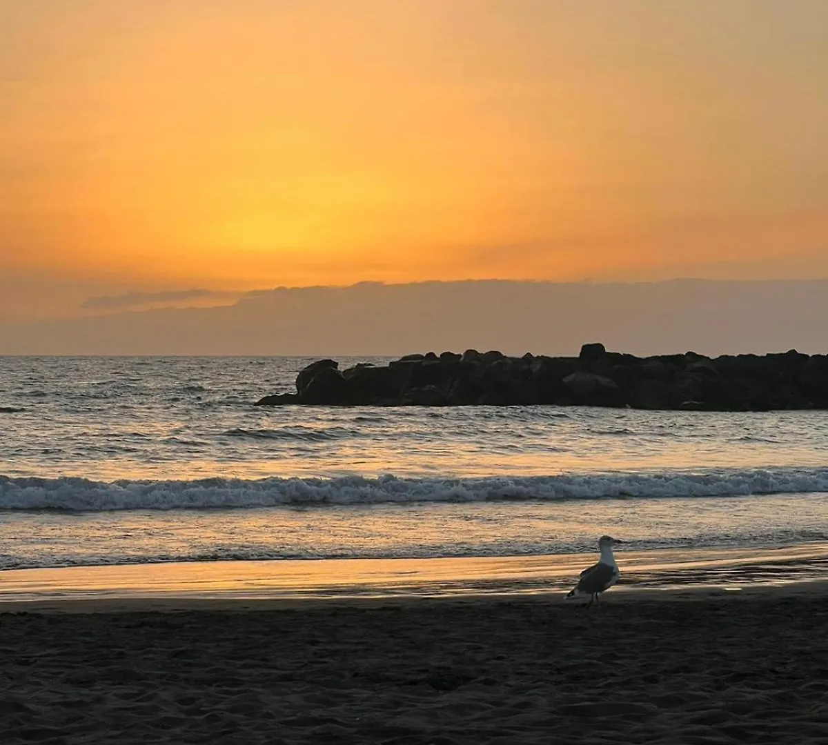 Appartamento Apartamento en primera línea de playa, céntrico, tranquilo Playa de las Americas