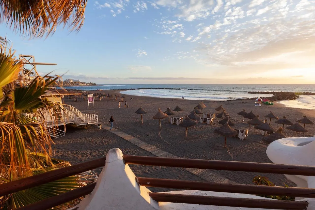 Apartamento En Primera Linea De Playa, Centrico, Tranquilo contacts